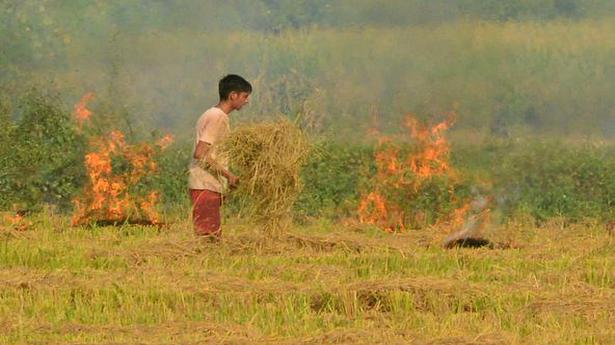 Fall in stubble burning incidents in Punjab, Haryana: panel