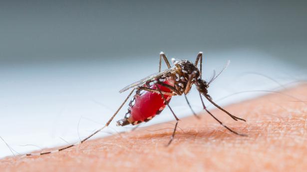 How are mosquitoes able to avoid insect repellents?