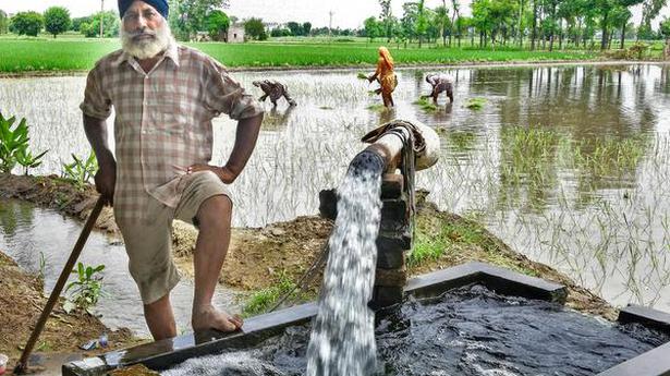 Paddy, tube wells and depleting groundwater: Why Punjab’s water resources are under strain - The Hindu