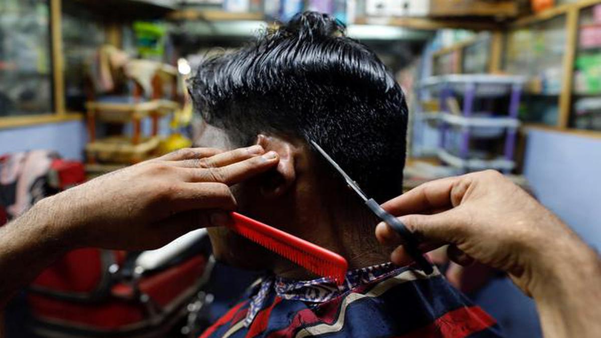 for the price of a haircut - the hindu