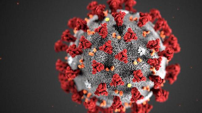 Coronavirus India News Update: Cases &amp; Death Toll in Major States, Cities  (Delhi, Chennai, Mumbai, Kolkata) &amp; Union Territories - The Hindu