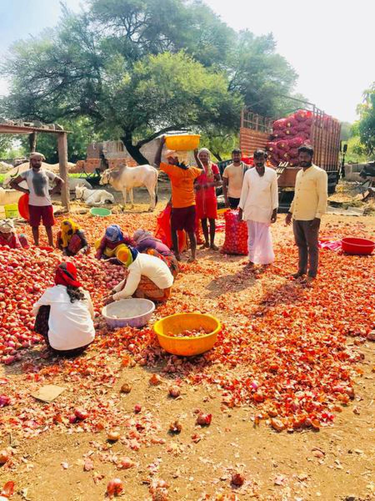 Meet India’s inspiring farmers who pivot, adapt and keep supplying fresh produce during the lockdowns