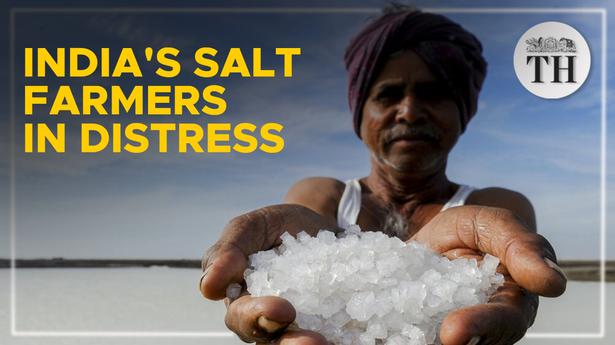 Watch | How climate change is making salt farming unsustainable - The Hindu