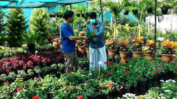 The business of gardening continues to bloom across India amid the pandemic