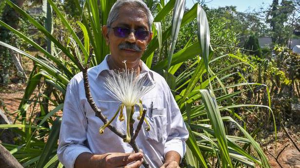 A plant kingdom in the heart of Visakhapatnam