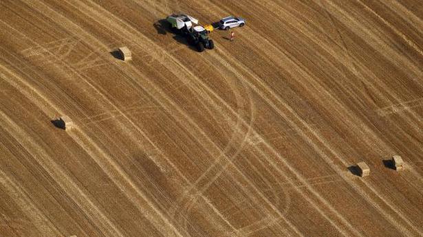 Europe's heat and drought crop losses tripled in 50 years: study