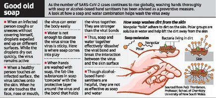 Coronavirus How Does Soap Use Help In Tackling Covid 19 The Hindu