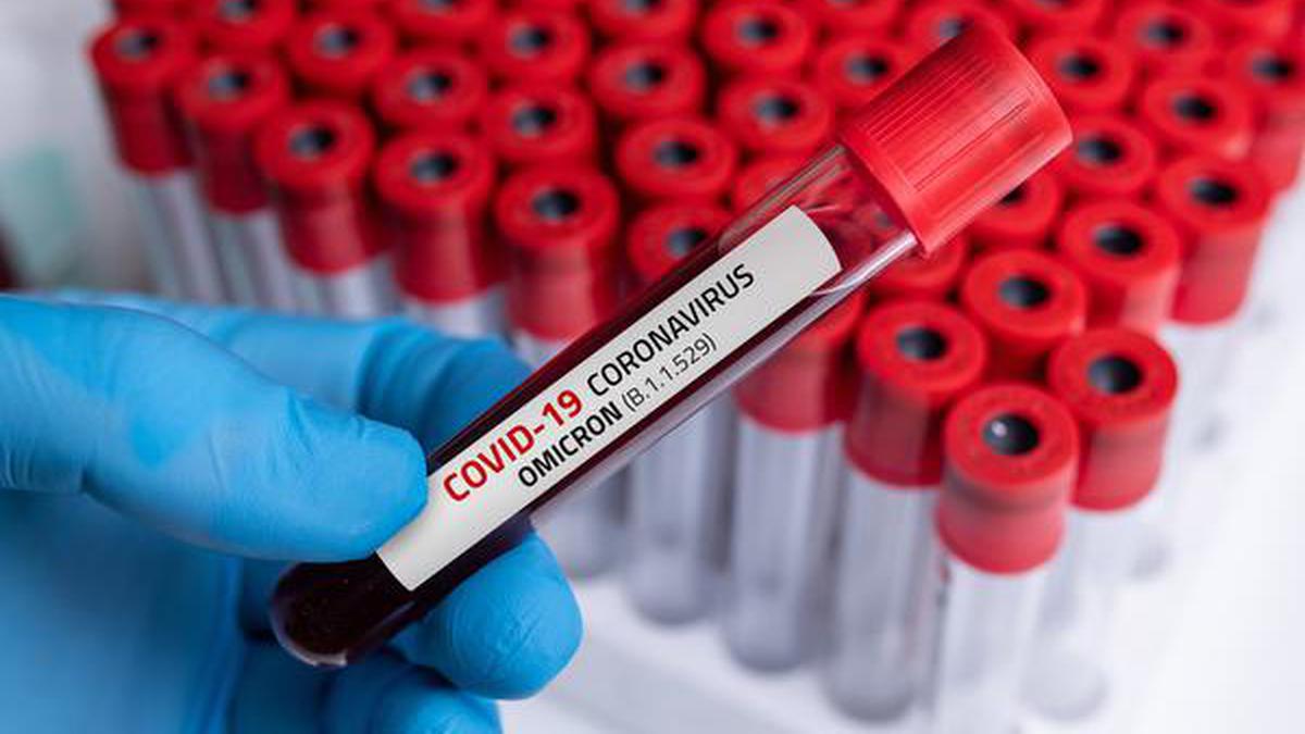 Omicron blunts immune response more, say reports - The Hindu