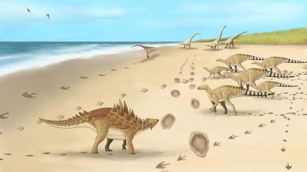 Footprints of dinosaurs that walked 110 million years ago found