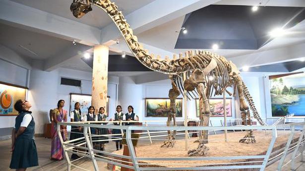 100 million-year-old bones of sauropods discovered in Meghalaya
