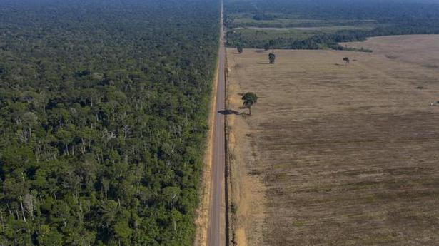 More deforestation and less rain threaten Brazilian agribusiness: study