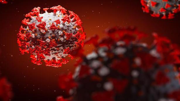 Study reveals interesting facet of the novel coronavirus