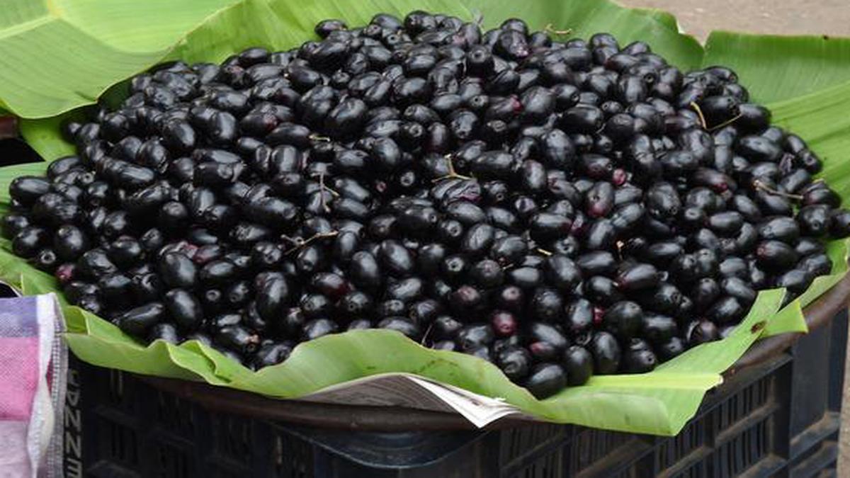 Jamun For Controlling Bladder Problems - Telugu Food And Diet News