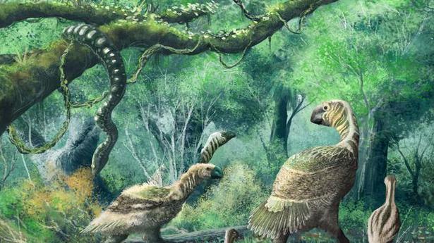 Paleoart that makes fossils come alive