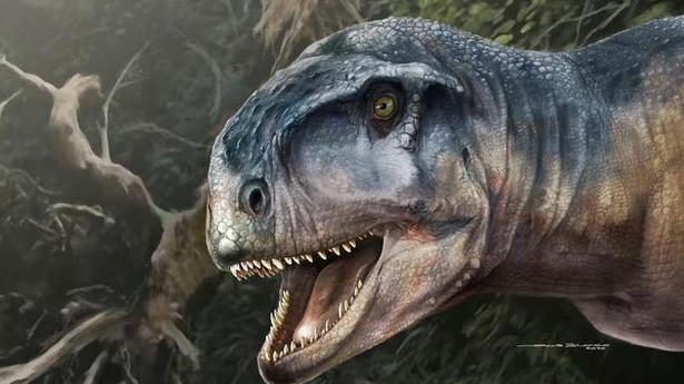 New meat-eating dinosaur fossil discovered in Argentina