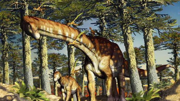 Argentine titanosaur could be the oldest ever found: study