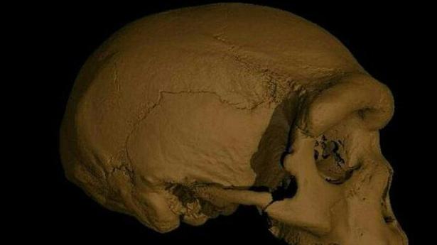 Skull found in China represents a new human species, our closest ancestor: Scientists
