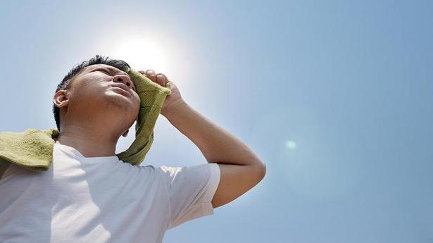 Heat stress may impact over 1.2 billion people annually by 2100: study - The Hindu