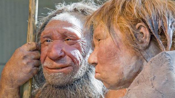 'Creative' genes gave Homo sapiens edge over Neanderthals: study