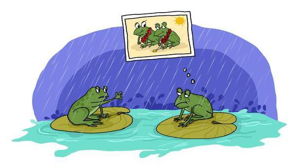 Why divorcing a frog couple is not the answer to the floods in Madhya Pradesh - The Hindu