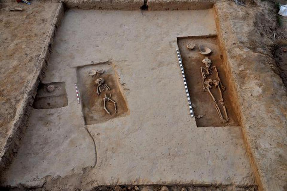 Two of the four skeletons found at Rakhigarhi in 2015.