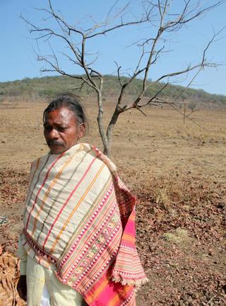 Tribal elder Dadhi Pushika, in a traditional Dongria shawl