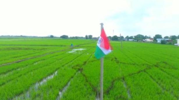Farmer’s unique celebration of Independence Day
